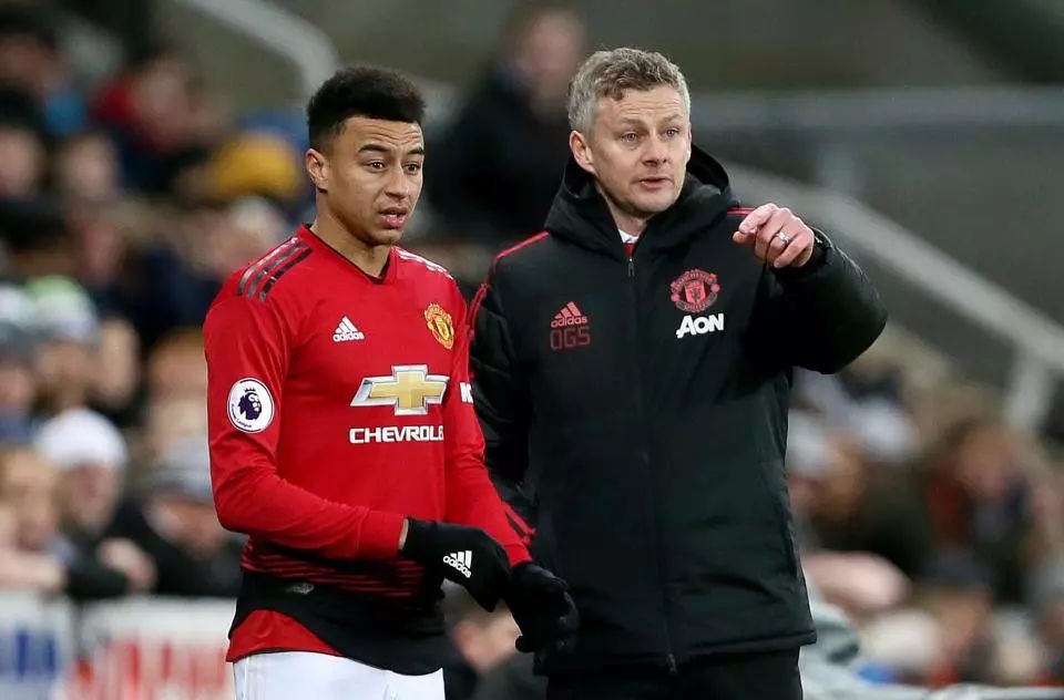 盲目模仿 盲目模仿